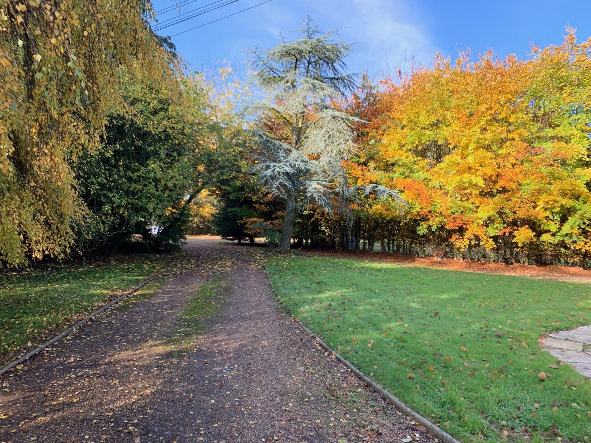 Aldercarr Hall Great Ellingham Zewnętrze zdjęcie